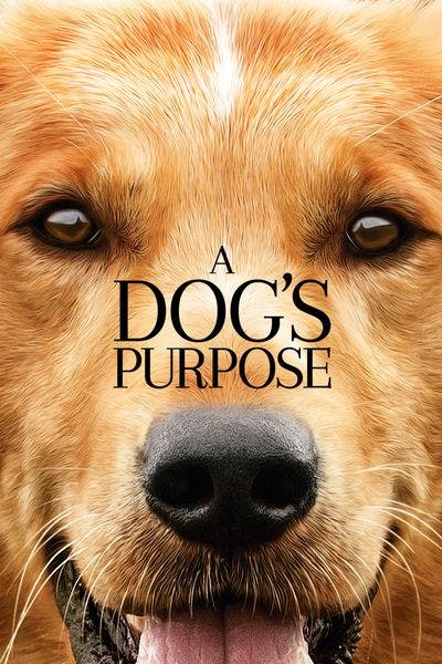 A Dog's Purpose [Digital Code - HD]