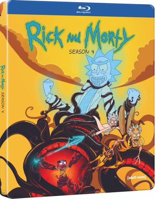 Rick and Morty: Season 4 (Steelbook/Blu-ray) (Blu-ray Steelbook) [Blu-ray]