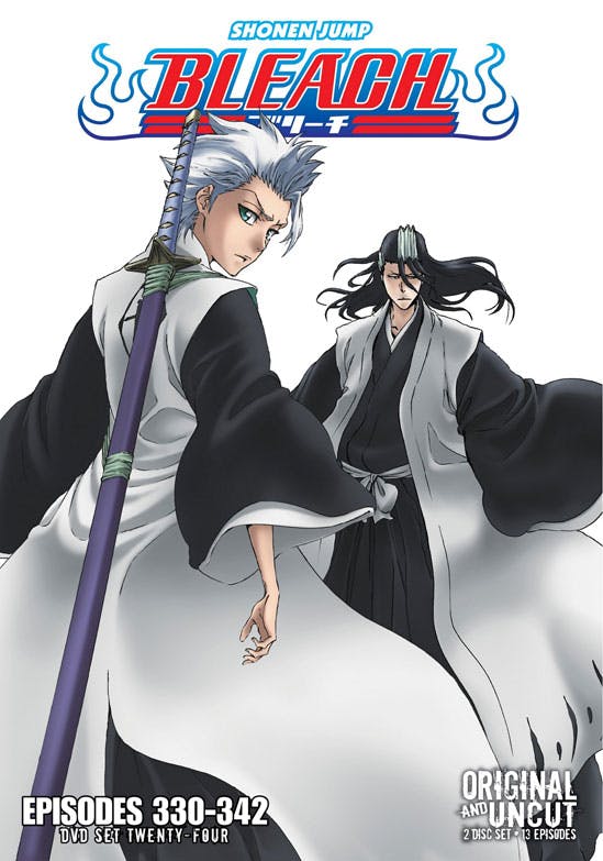 Bleach Uncut Set 24 (DVD Uncut) [DVD]
