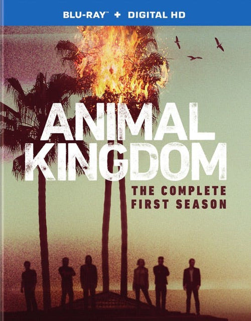 Animal Kingdom: The Complete First Season [Blu-ray]
