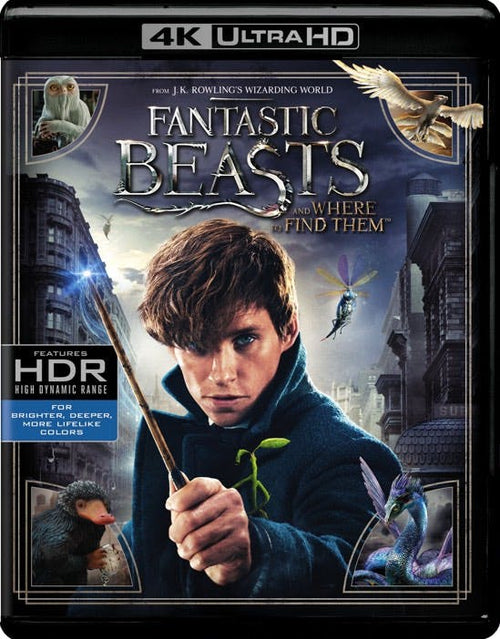 Fantastic Beasts and Where to Find Them [UHD]