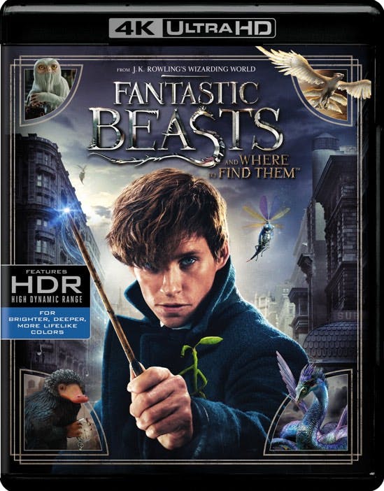 Fantastic Beasts and Where to Find Them [UHD]