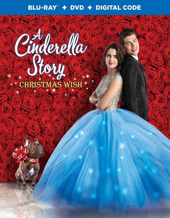 Cinderella Story, A:  Christmas Wish (Blu-ray) [Blu-ray]
