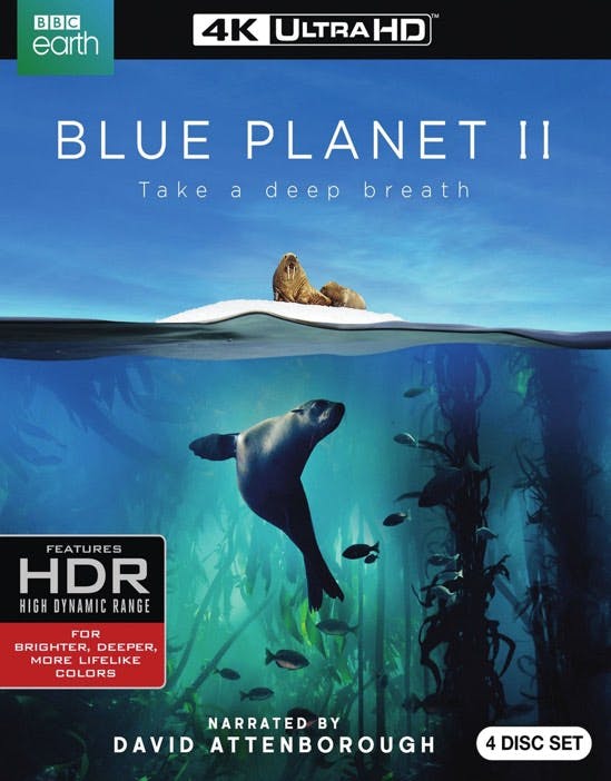 Blue Planet II [UHD]