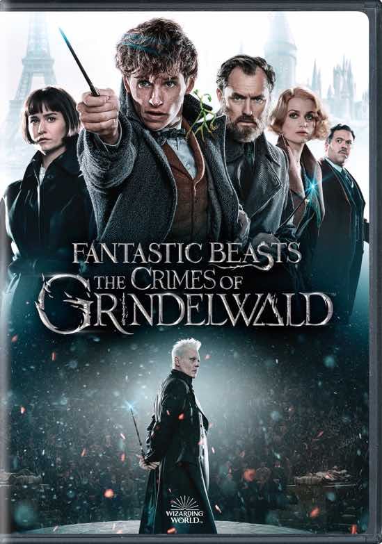 Fantastic Beasts: The Crimes of Grindelwald (DVD Single Disc) [DVD]