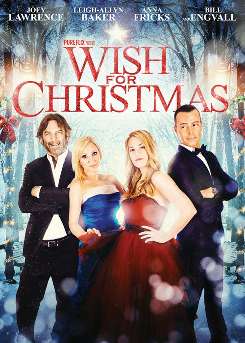 Wish for Christmas [DVD]