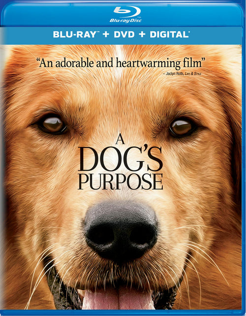 A Dog's Purpose (DVD + Digital) [Blu-ray]
