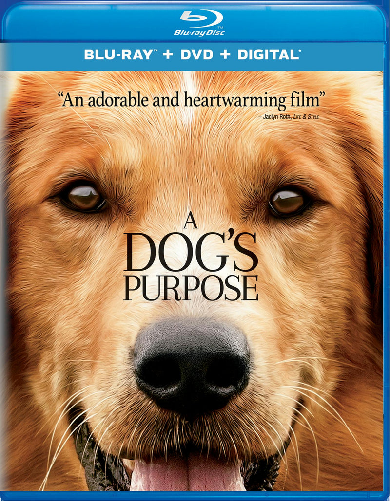A Dog's Purpose (DVD + Digital) [Blu-ray]
