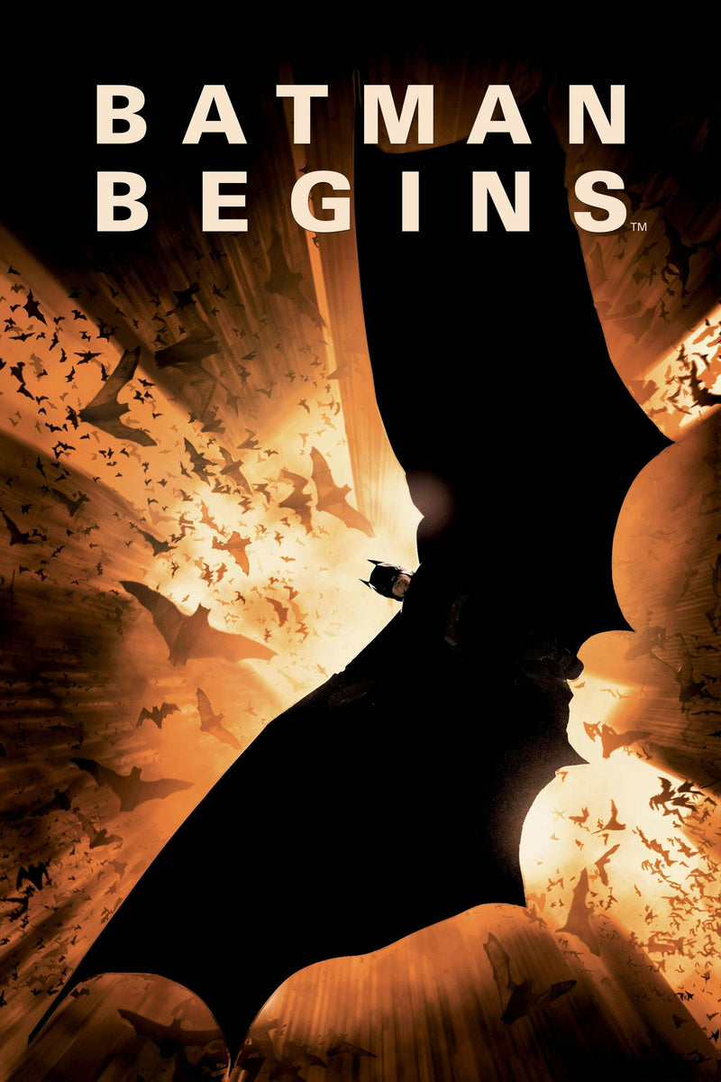 Batman Begins [DVD]